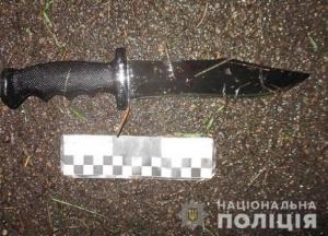 В Кривом Роге женщина зарезала водителя авто во время езды (фото)