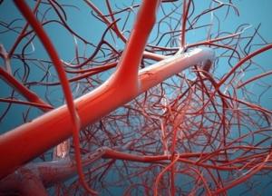 Названы продукты для улучшения работы сосудов