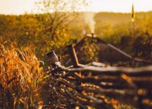 Прогноз погоды на 22 октября: почти всю Украину пригреет осеннее солнце