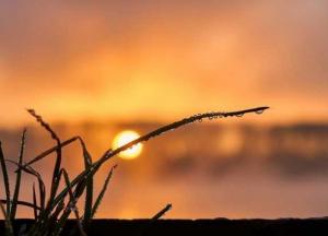 Прогноз погоды на 28 июля: жара по всей стране и местами грозы