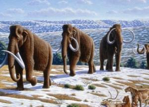 Ученые выяснили, почему исчезли мамонты в Северной Америке