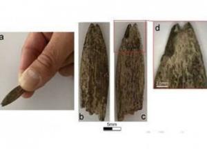 В Австралии обнаружен редкий костяной артефакт