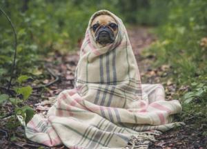 Потопи, як в Одесі, по всій Україні траплятимуться частіше: прогноз експертів