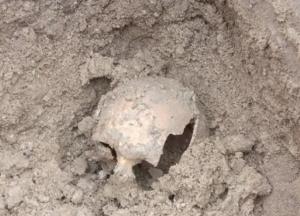 В Тернопольской области обнаружено древнее захоронение людей (фото)