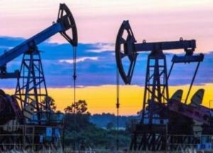 В Украине продадут на аукционе 12 месторождений