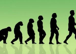 Ученые назвали неожиданную причину эволюции человечества