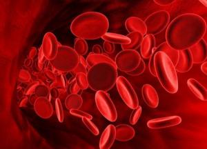 Медики назвали простой способ повысить уровень гемоглобина в крови 
