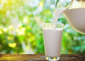 Врачи назвали продукт, спасающий от рака и диабета