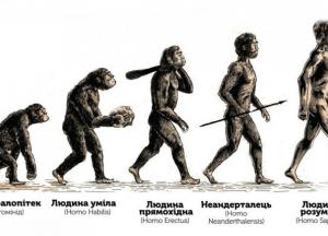 Ученые разгадали тайну гибели древнего предка человека
