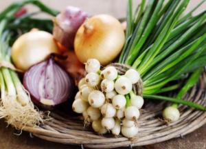 Названы лучший продукт для работы мозга