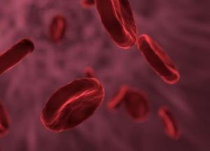 Медики нашли неожиданную пользу холестерина для здоровья