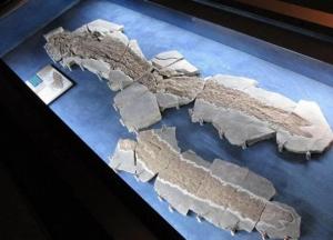В Канаде нашли скелет древней рыбы с "пальцами"