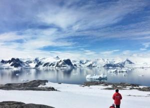 Самый старый лед в Арктике дал трещину - ученые