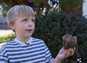 ​Мальчик на прогулке случайно нашел зуб мастодонта, которому 12 тысяч лет (видео)
