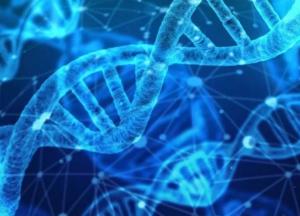 Ученые раскрыли тайну происхождения скифов