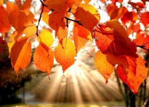 Прогноз погоды на 10 сентября: сухое бабье лето, и только в Карпатах дожди