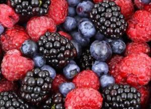 Какие ягоды самые полезные для здоровья 