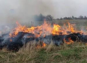 На Харьковщине пенсионерка сгорела, пытаясь выжечь сухую траву