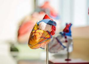 Симптомы сердечного приступа: пять признаков, которые нельзя игнорировать