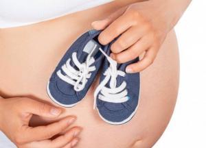 Суррогатное материнство: часто задаваемые вопросы