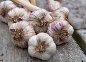 Эксперты перечислили неизвестные свойства чеснока