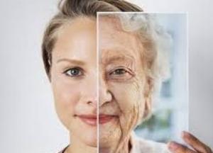 Ученые нашли способ замедлить старение