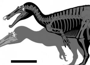 Ученые нашли на острове неизвестные виды динозавров с "крокодильими мордами"