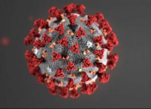 Коронавирус может не оставаться на поверхности: ученые удивили исследованием