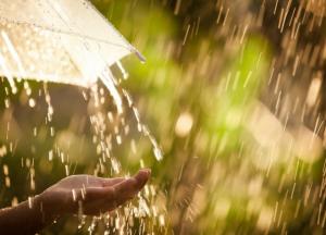 Прогноз погоды на 20 августа: часть Украины накроют грозовые дожди 