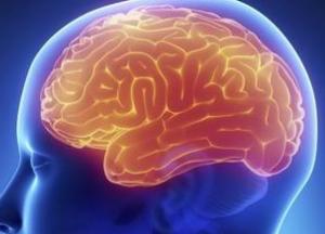 Названа серьезная опасность COVID для мозга