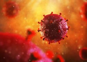 Ученые предупредили о новом опасном вирусе