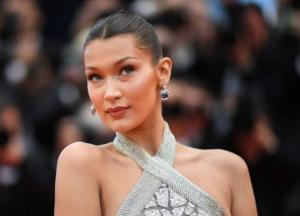 Белла Хадид удивила пикантным образом (фото)