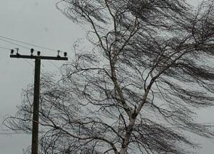 В Украине из-за непогоды обесточены 120 населенных пунктов