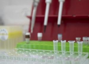 В Украине уже 143 тыс. случаев COVID-19, за сутки - 2 551