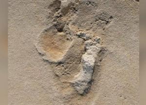 Найдены следы древних людей возрастом 6 миллионов лет