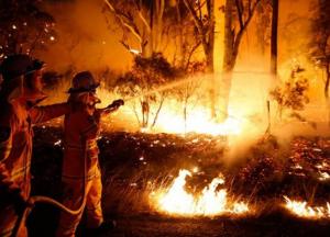 Шокирующие масштабы пожаров в Австралии показали со спутника (фото)