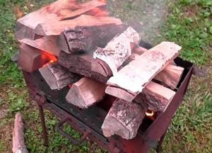 Как выбрать дрова для шашлыка?