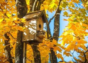 В начале октября в Украине ожидаются солнечная погода и ночные заморозки