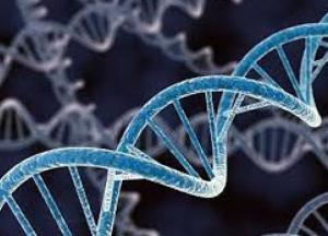 Ученые рассказали, почему мужчины живут меньше