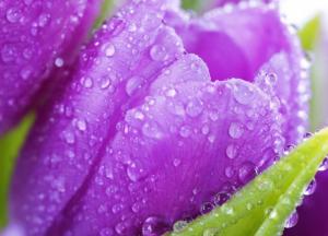 Прогноз погоды на 24 июля: температура упадет, пройдут ливни