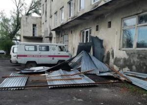 Вырывал с корнями деревья: на Закарпатье пронесся мощный ураган (видео)