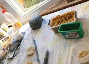 На Ровенщине иностранец организовал подпольный цех по обработке янтаря (фото)