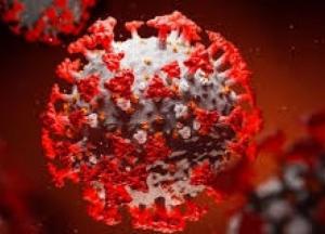 Как влияет УЗИ на коронавирус: ученые сделали открытие