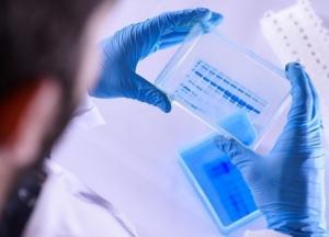 Ученые выяснили, как долго сохраняется иммунитет против COVID-19