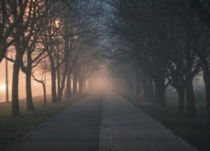 Снега не ждите: прогноз погоды в Украине на начало недели