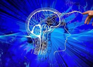 Медики рассказали, чем опасно высокое кровяное давление для мозга