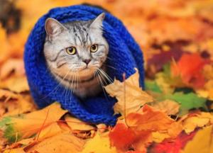 В Україні розпочинається опалювальний сезон: названо чітку дату