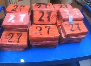 В США мужчина на пляже нашел 35 килограммов кокаина