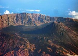 Ученые обнаружили клетки мозга, которым более 2000 лет