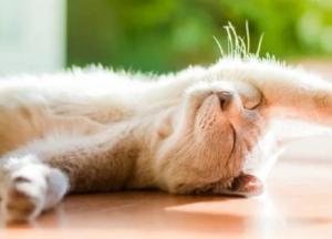 Прогноз погоды на 7 апреля: будет тепло и солнечно, днем до +20 градусов